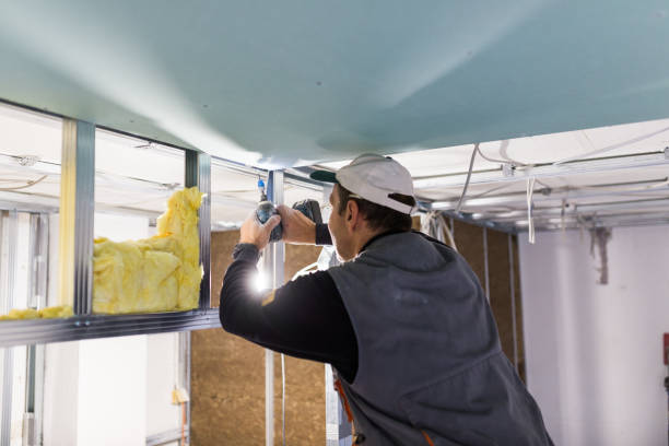 Best Spray Foam Insulation in Mitchellville, MD