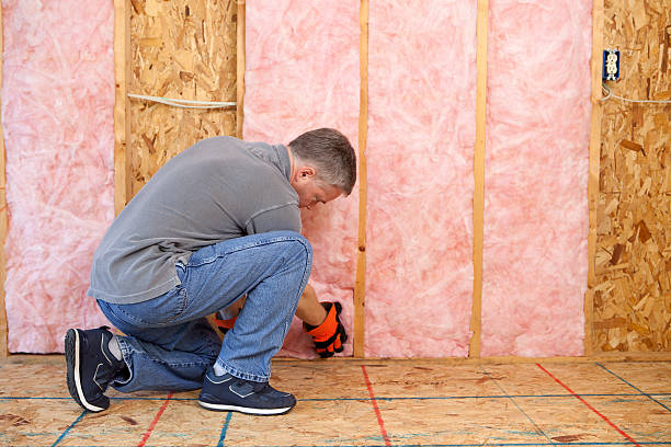 Best Fiberglass Insulation in Mitchellville, MD